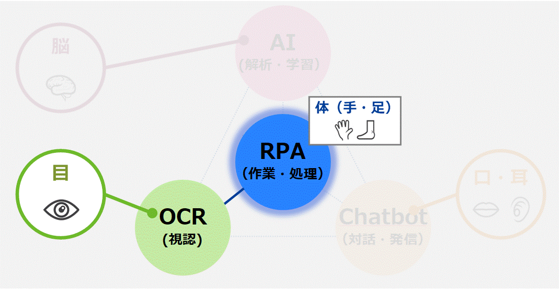 RPAは「手足（作業・処理）」、OCRは「目（視認）」